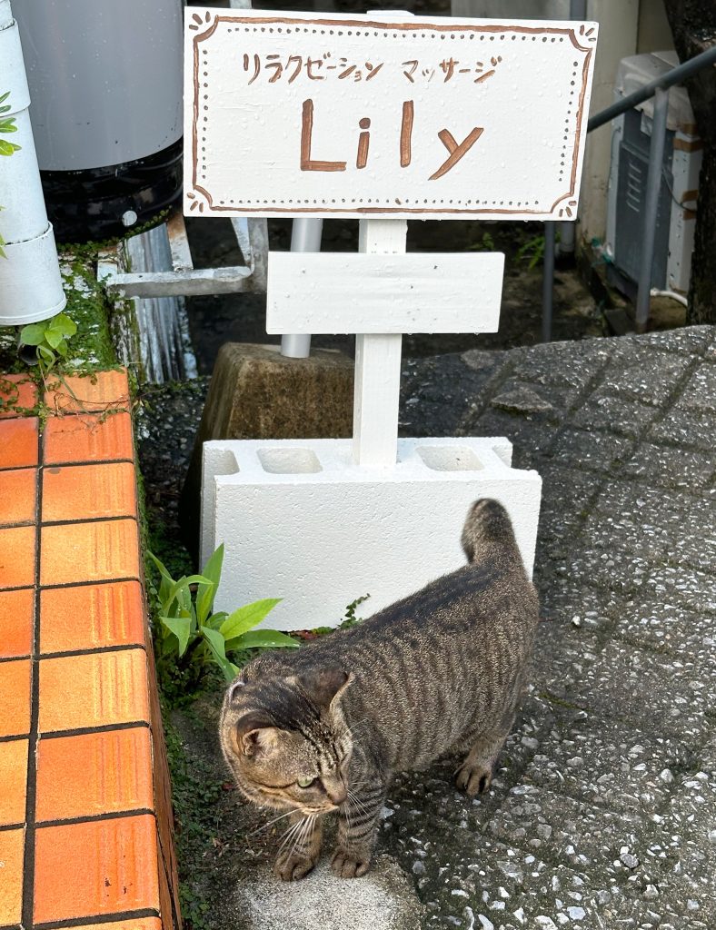 路地裏の隠れ家サロン『Lily beauty salon』で極上リンパマッサージ｜那覇市壺屋 /CELEBRATIONS maki