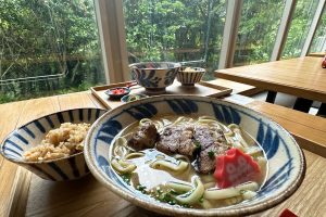 やんばるの原生林の森の中の沖縄そば家『沖縄そば　今帰仁の森』｜国頭郡今帰仁村 /CELEBRATIONS maki
